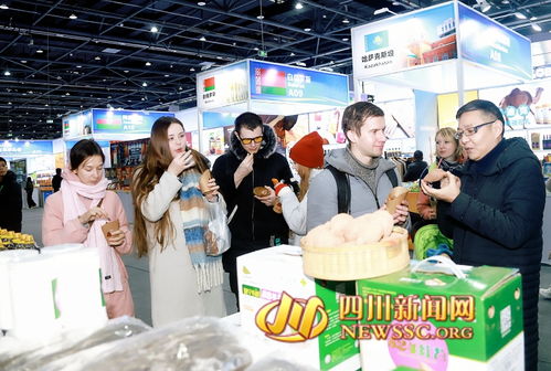 第二屆遂寧進出口商品交易會暨2024年“蜀里安逸”遂寧迎春購物月啟動，日用百貨點亮消費新熱潮