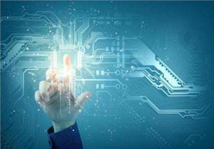 吳中區(qū)口碑佳、價格優(yōu)的系統(tǒng)開發(fā)與互聯(lián)網(wǎng)信息技術(shù)服務(wù)